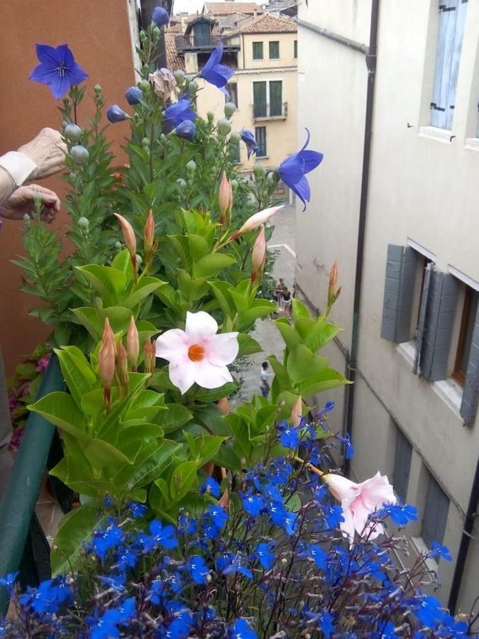 Ca' San Silvestro 2 Terrazze Nel Cuore Di Venezia 외부 사진
