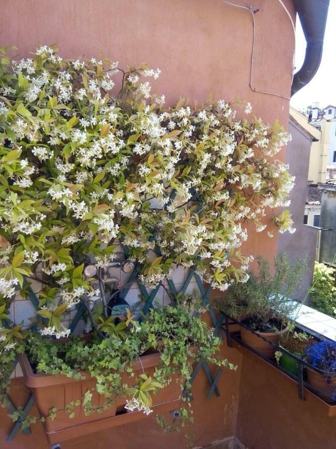 Ca' San Silvestro 2 Terrazze Nel Cuore Di Venezia 외부 사진